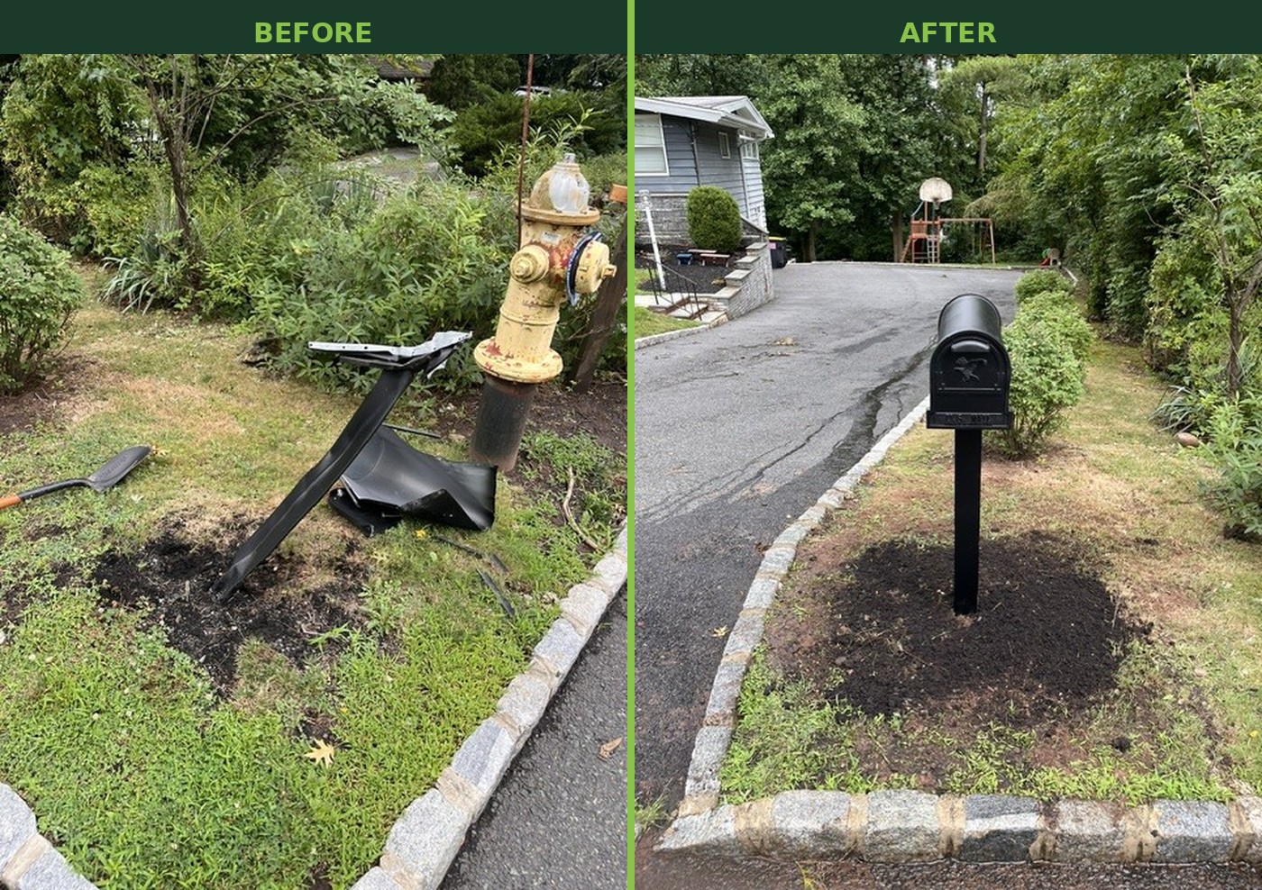 Box hedge before and after