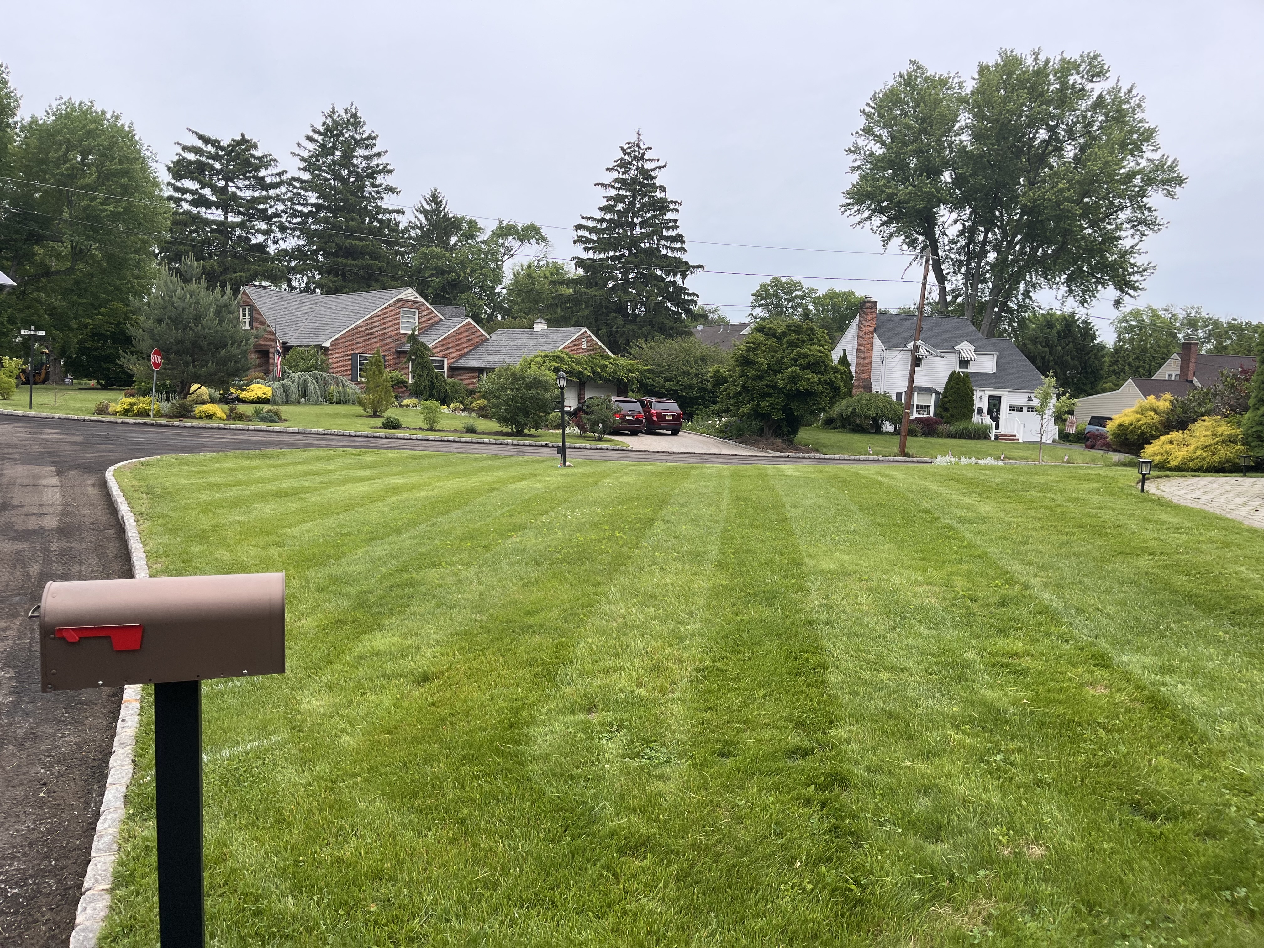 Freshly mowed front lawn with clean stripes