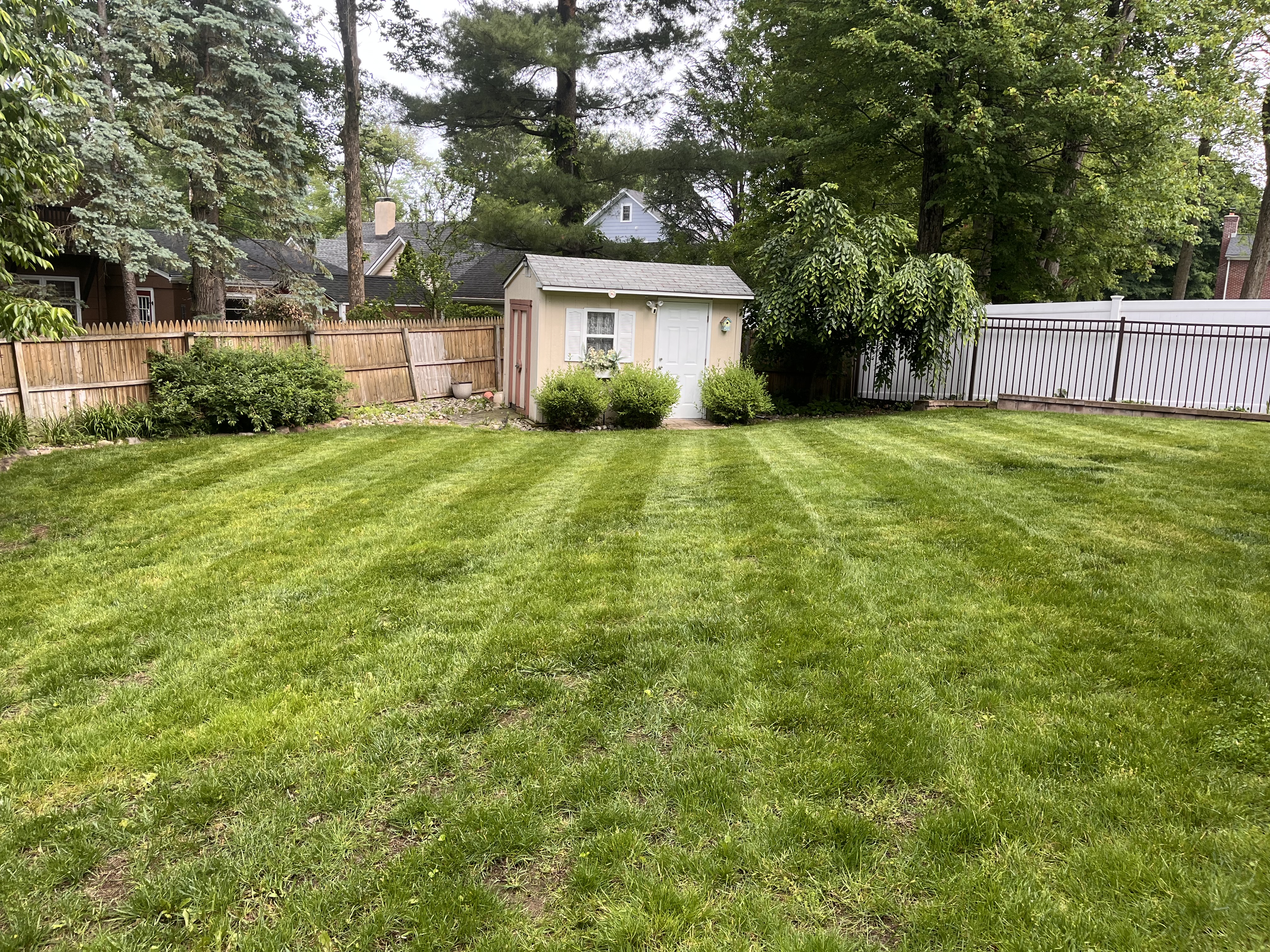 Freshly mowed back yard with clean stripes