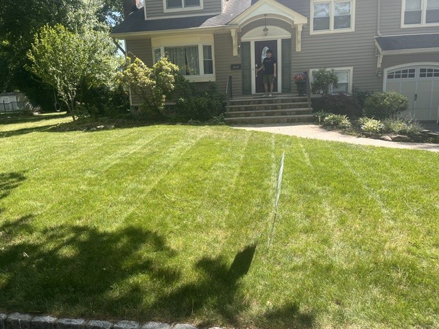 Lawn mowing job