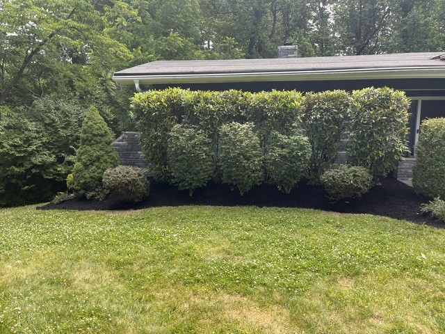 Completed lawn job left angle